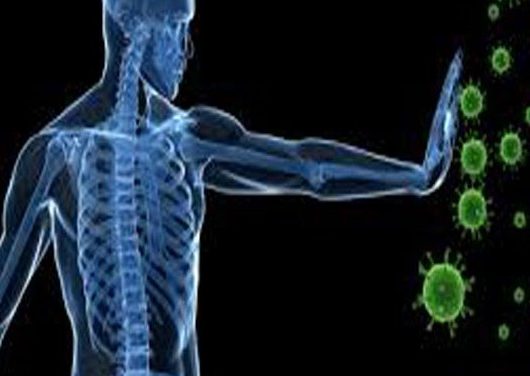 Autoimmune and Inflammatory Immunomodulators